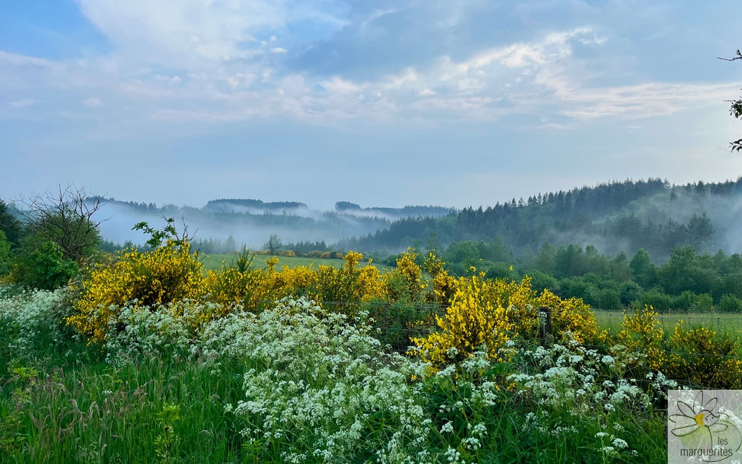 Introduction à la permaculture sur le site des Marguerites à Bellefontaine