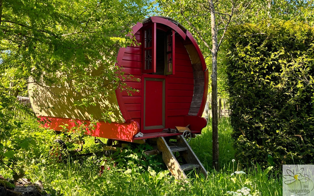 Concevoir un jardin résilient à l’ombre des Marguerites Le site des Marguerites à Bellefontaine accueille une formation de design en permaculture