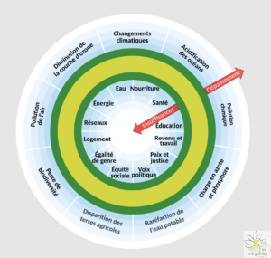 La théorie du Donut illustre le principe observer et interagir appliqué aux systèmes économiques
