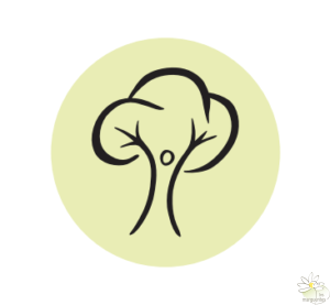 Observer et interagir - premier principe de permaculture