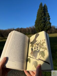 une illustration d'Aubudon dans le livre Chroniques de la vie rurale