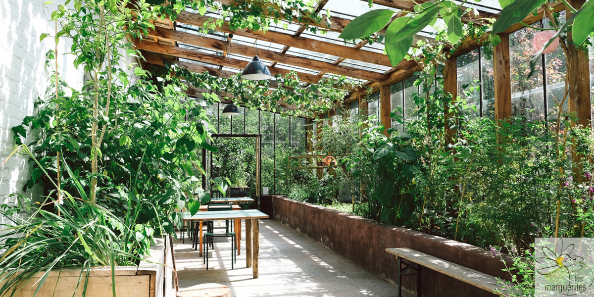 La Serre de l'espace Usine à Uccle accueille une introduction à la permaculture