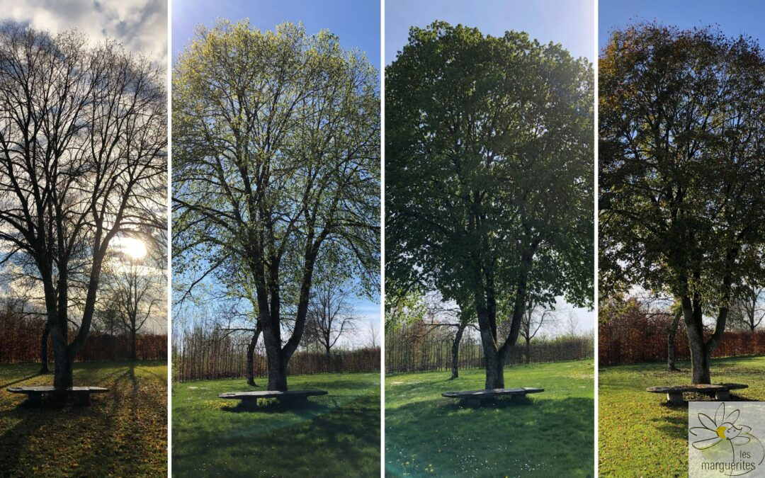 Le principe Observer et Interagir : comprendre et appliquer