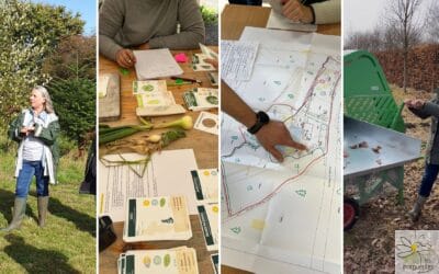 Pourquoi se former à la permaculture aujourd’hui ?