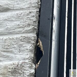 trous de bardage faits par un pic épeiche