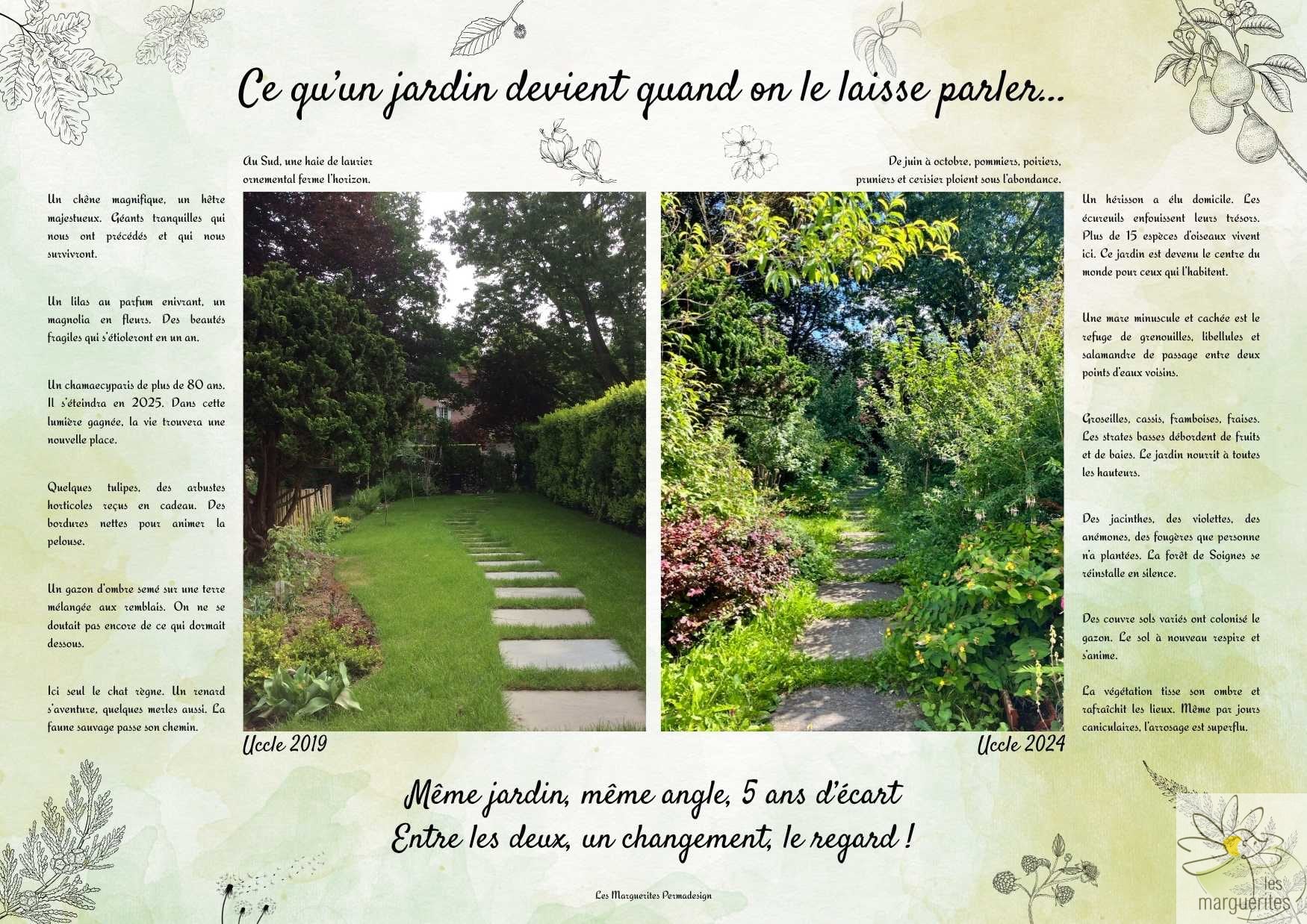 Avant-après d'un jardin urbain en permaculture à Bruxelles