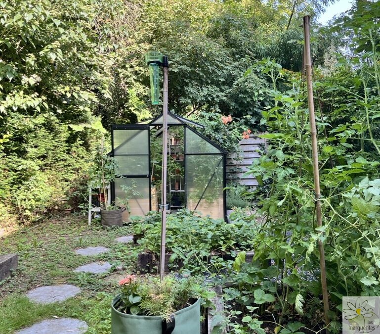 Concevoir un jardin nourricier et résilient