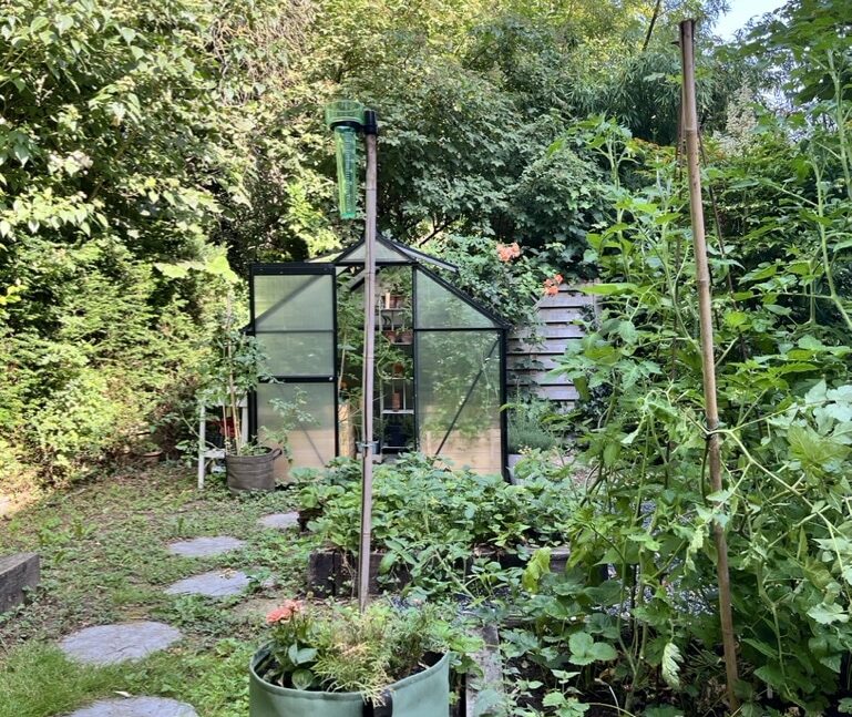 jardin nourricier