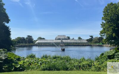 Kew Gardens : ce qu&rsquo;une permacultrice y observe