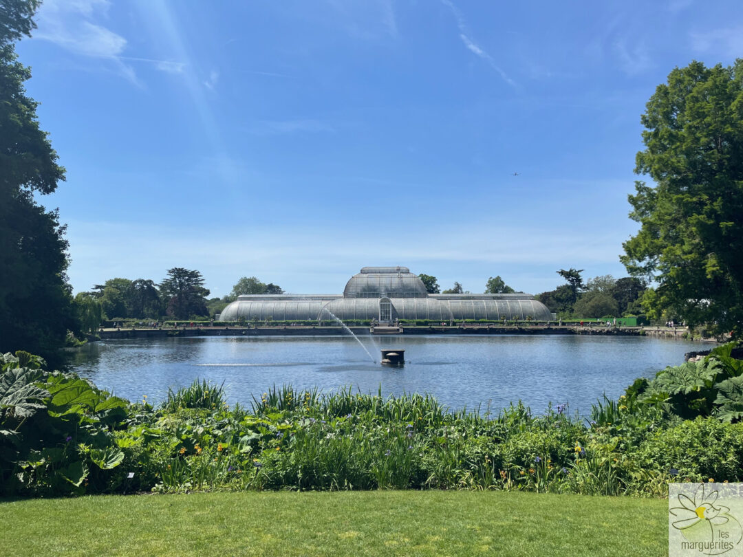 kew_serre_avion Vue de la serre Palm House de Kew Garden avec un avion qui survole