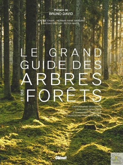 Apprendre à voir, livre d'Estelle Zhong Mengual